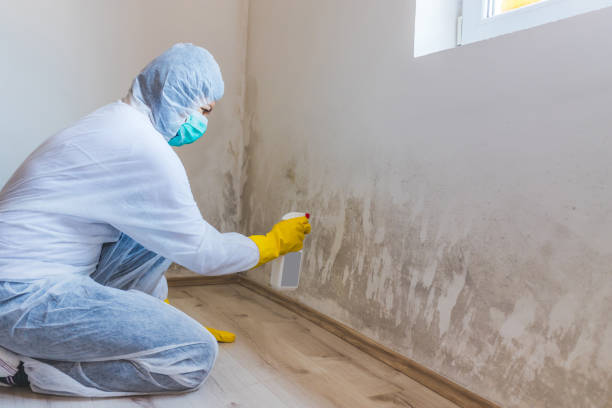 Mold inspector in Rineyville performing thermal imaging